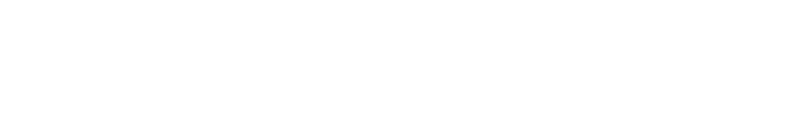 VFF Logo (1)